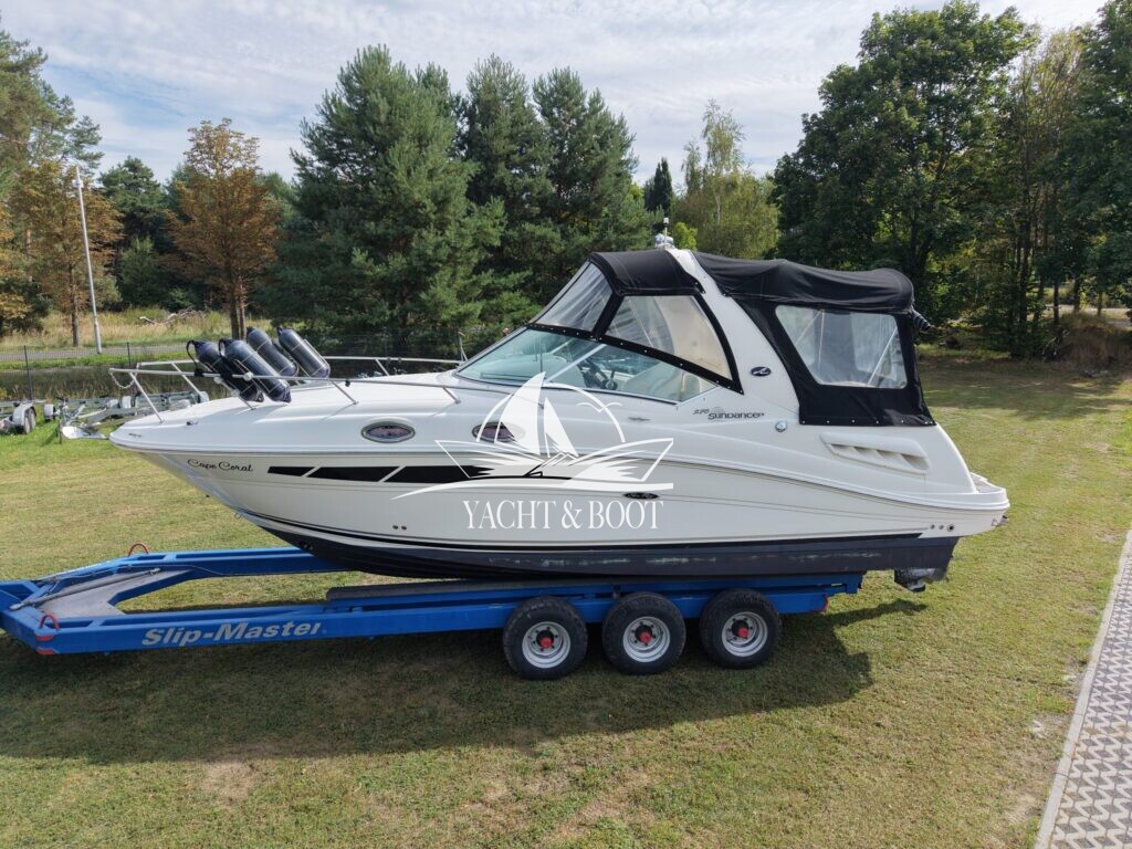Sea Ray 275